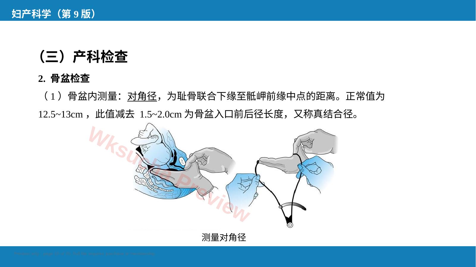 预览第 10 页