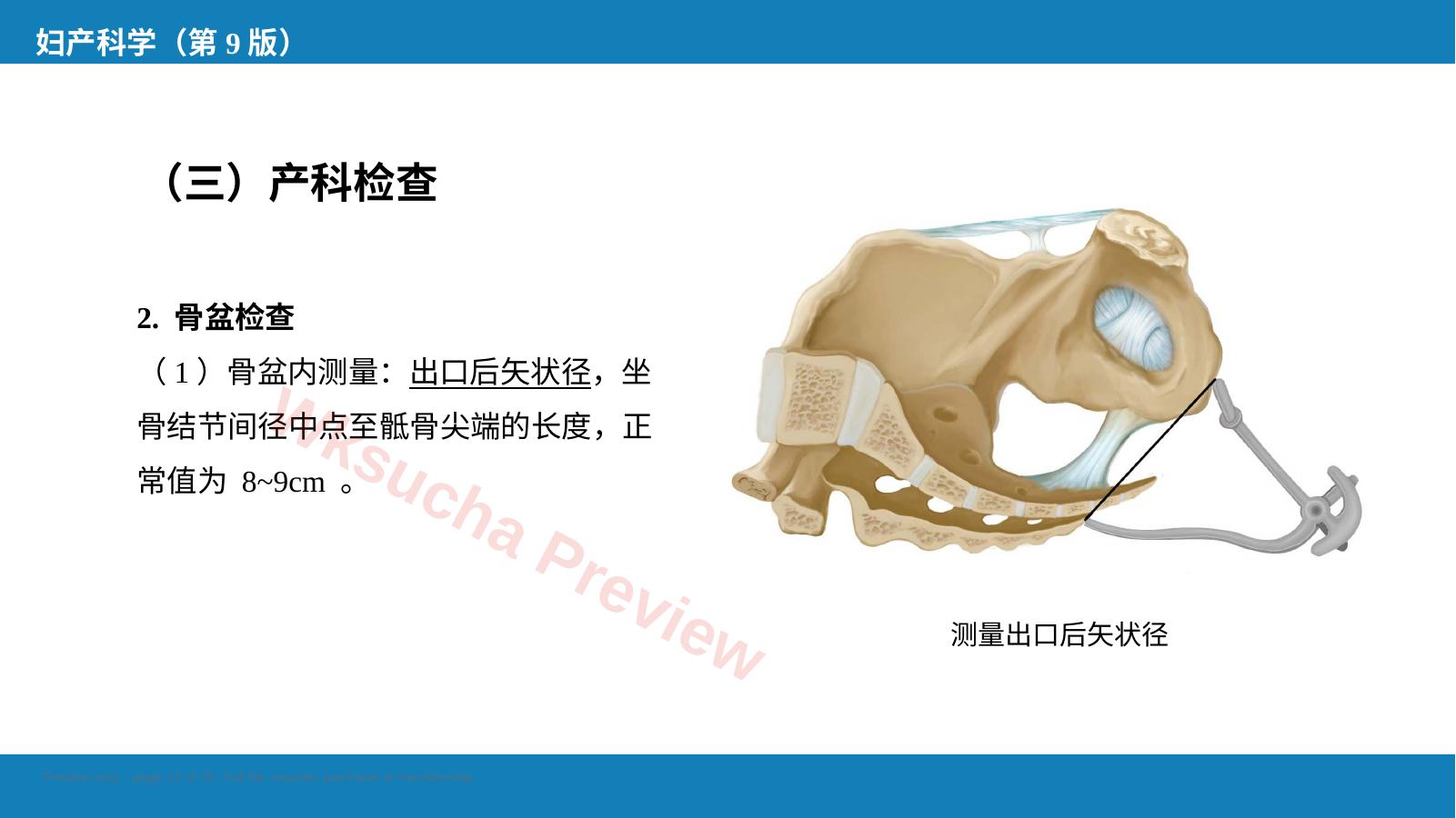 预览第 13 页