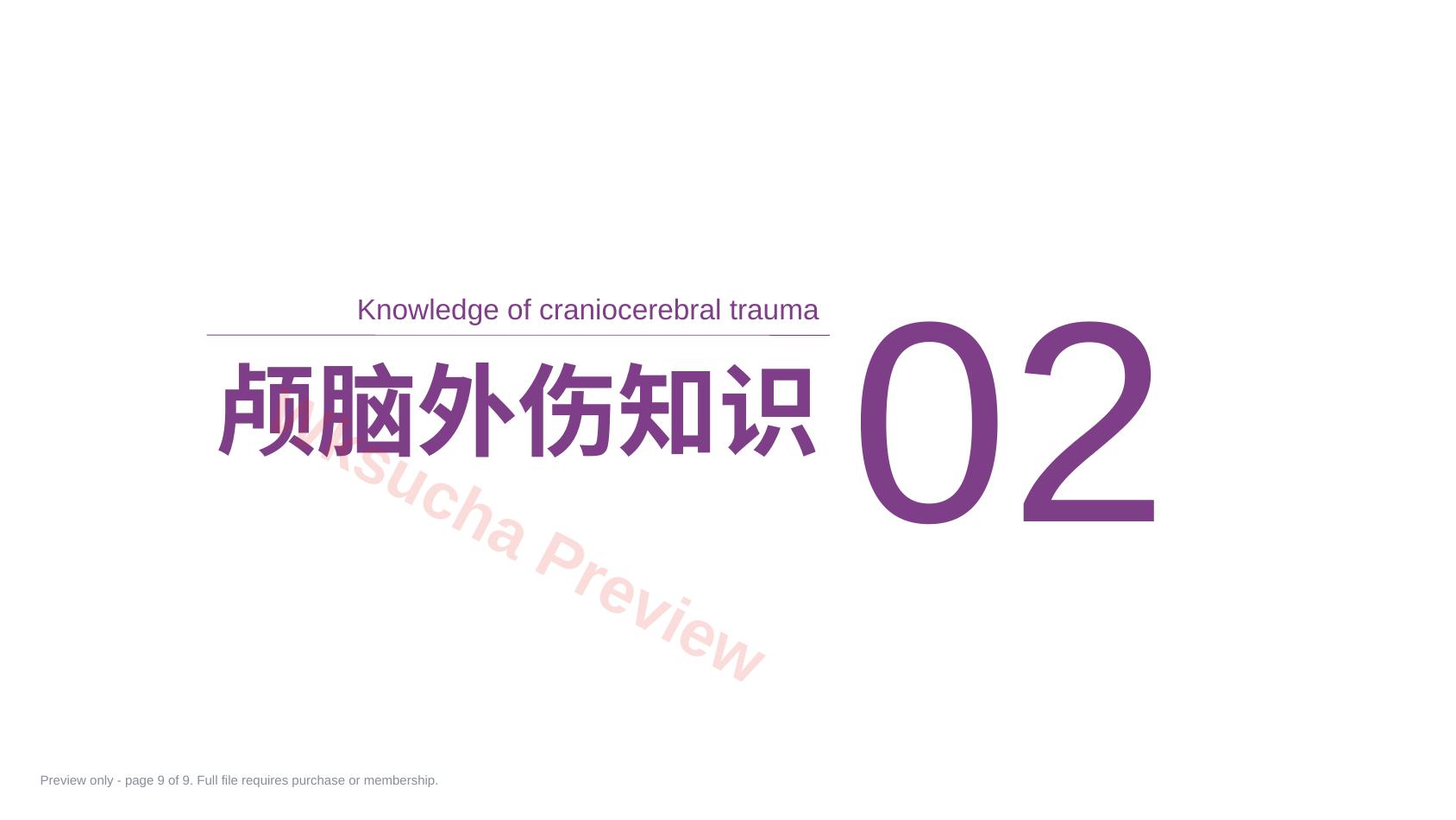 预览第 9 页