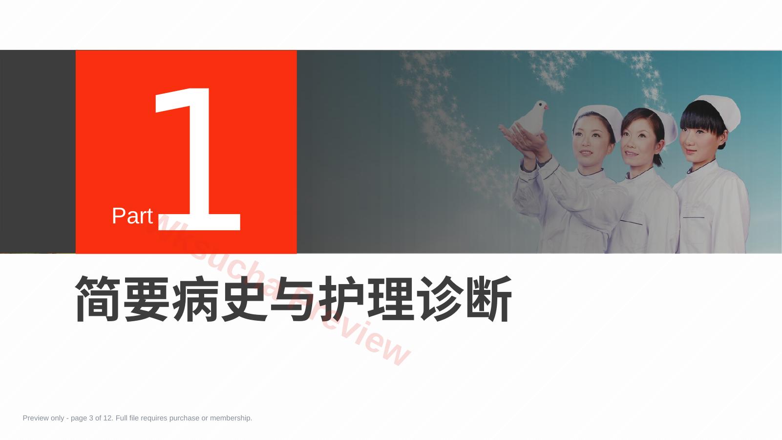 预览第 3 页