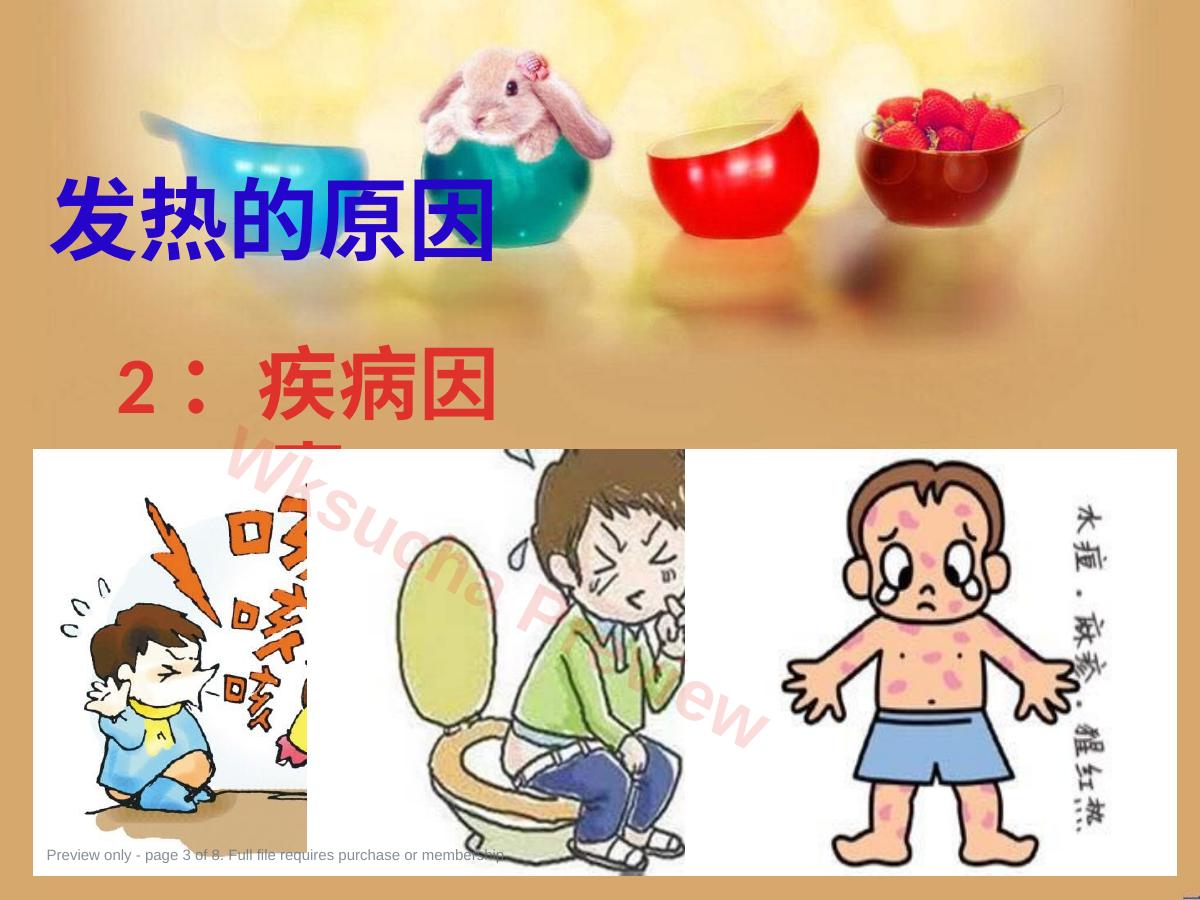 预览第 3 页