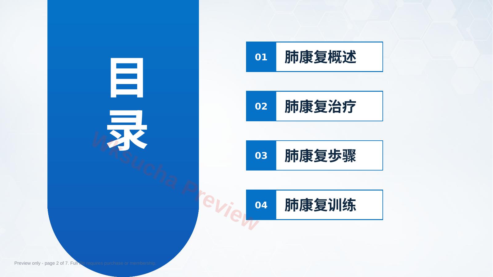 预览第 2 页