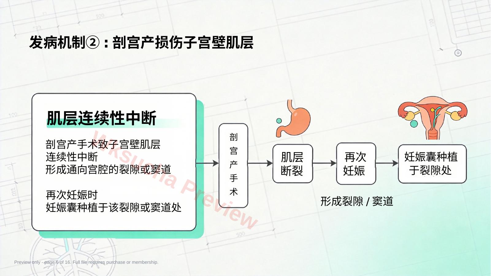 预览第 6 页