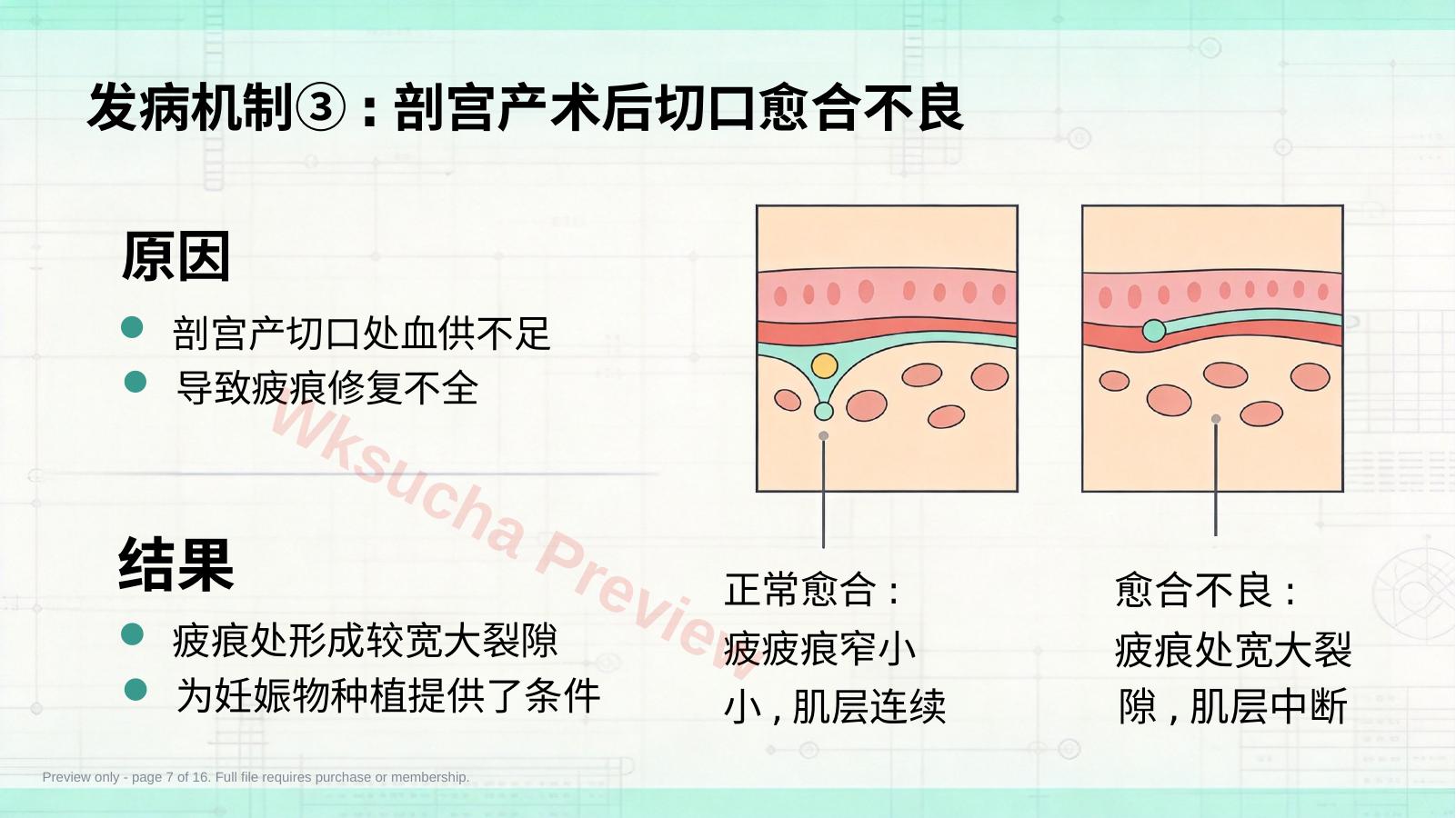 预览第 7 页