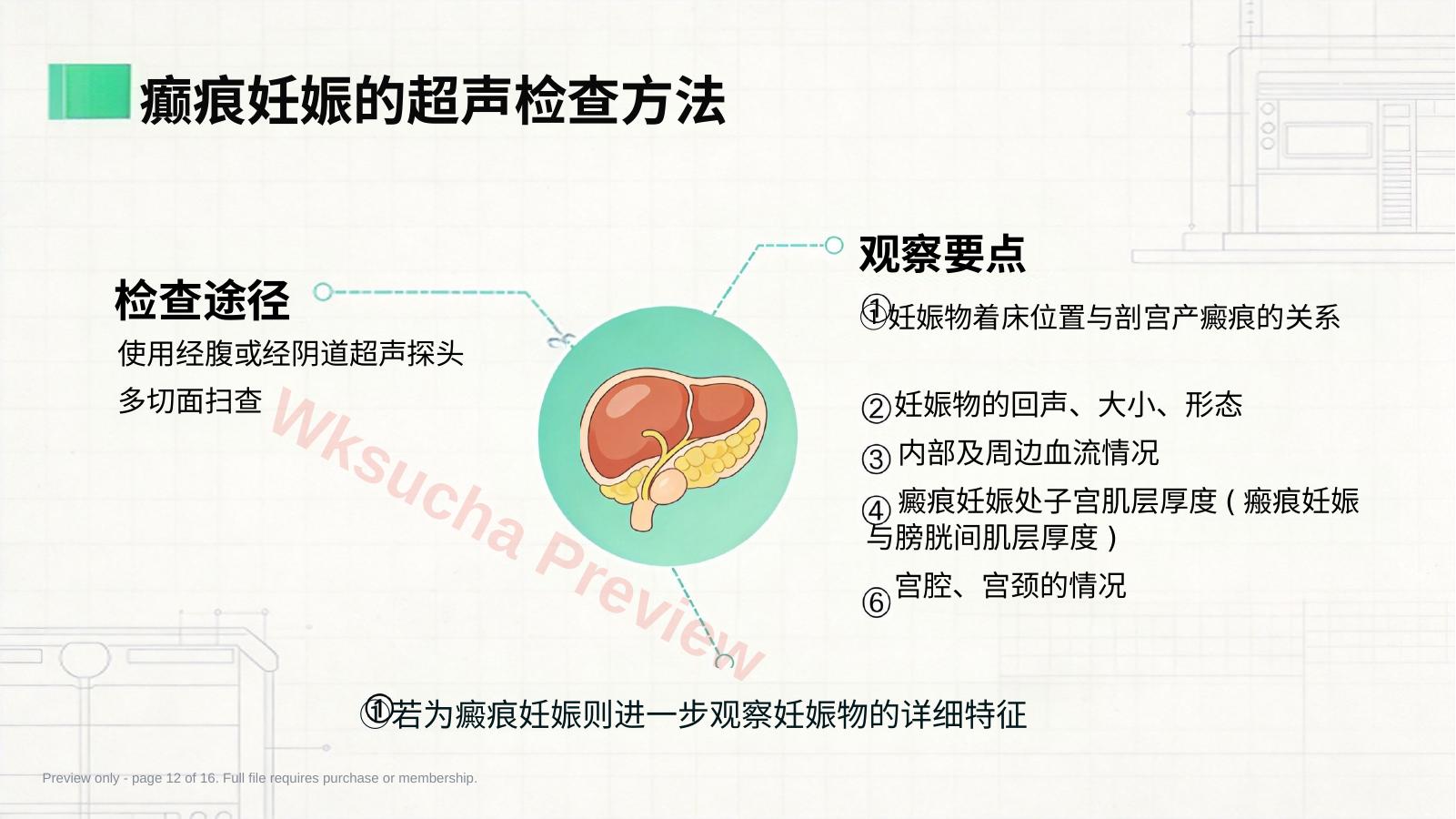 预览第 12 页