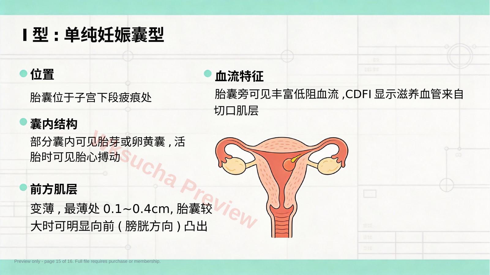 预览第 15 页