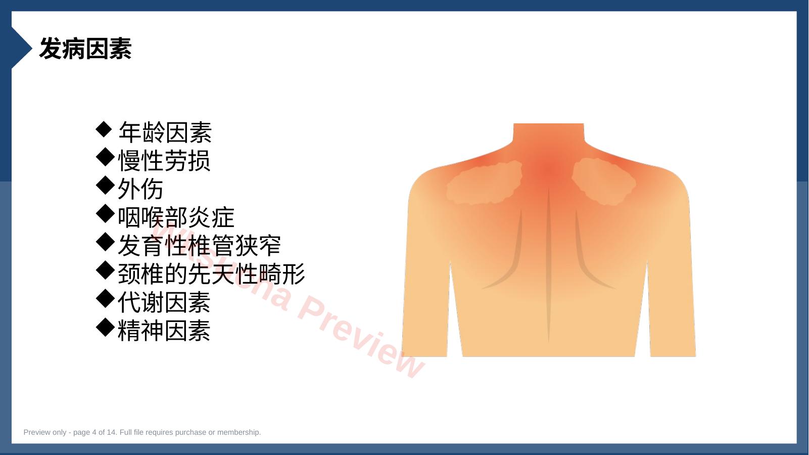 预览第 4 页