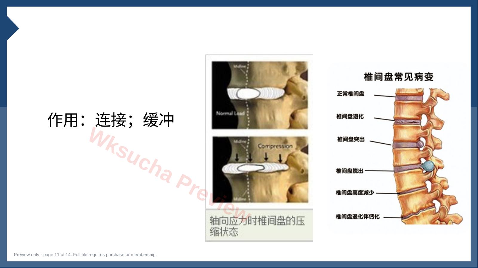 预览第 11 页