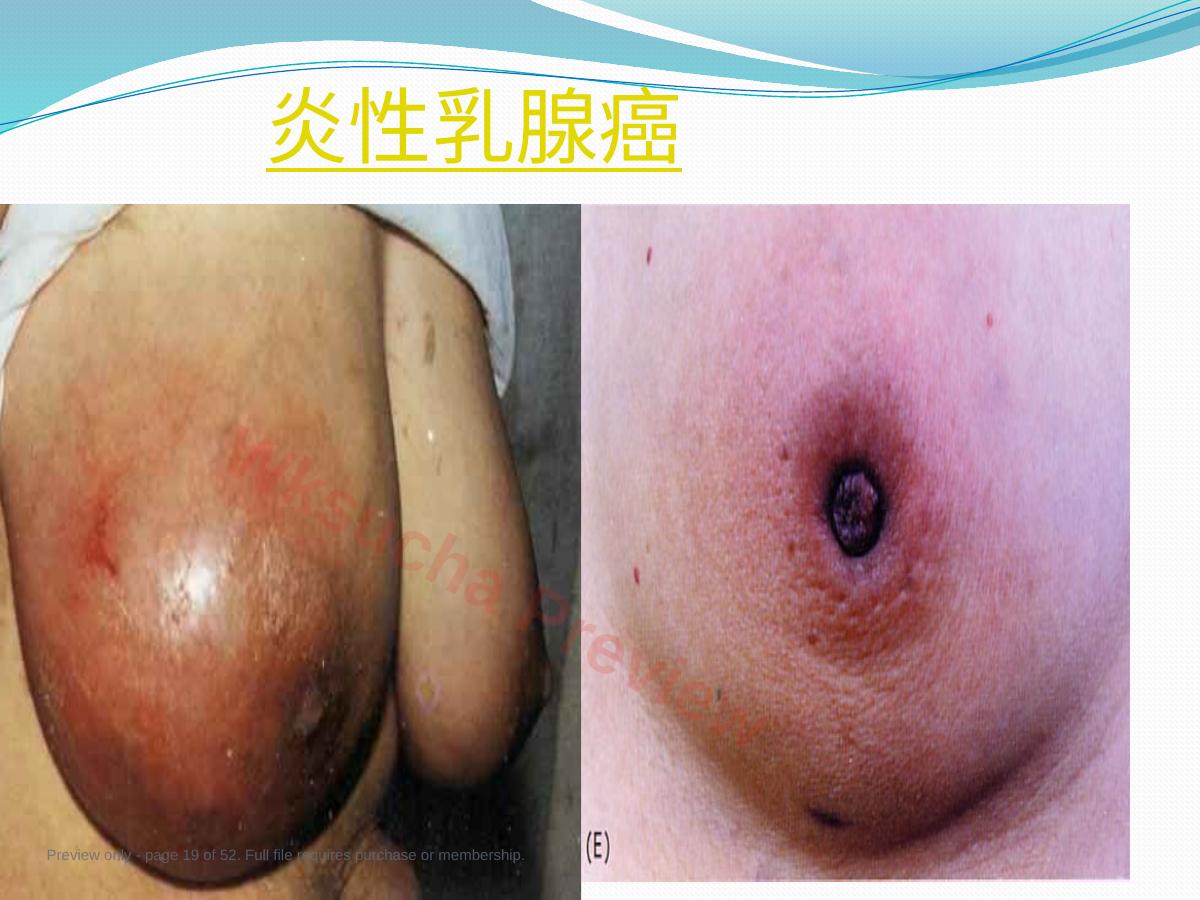 预览第 19 页