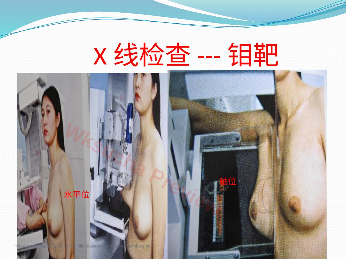 预览第 22 页