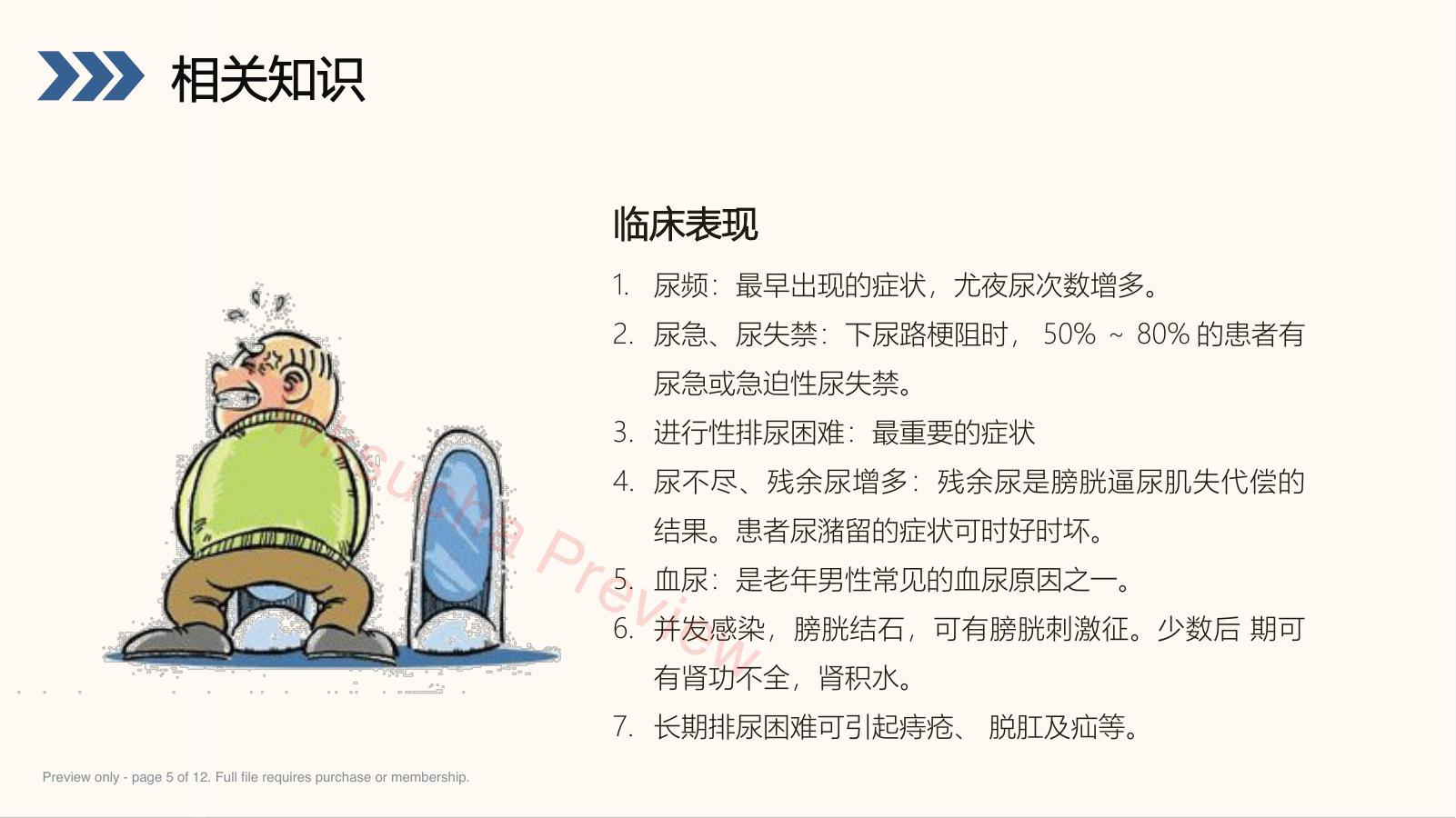 预览第 5 页