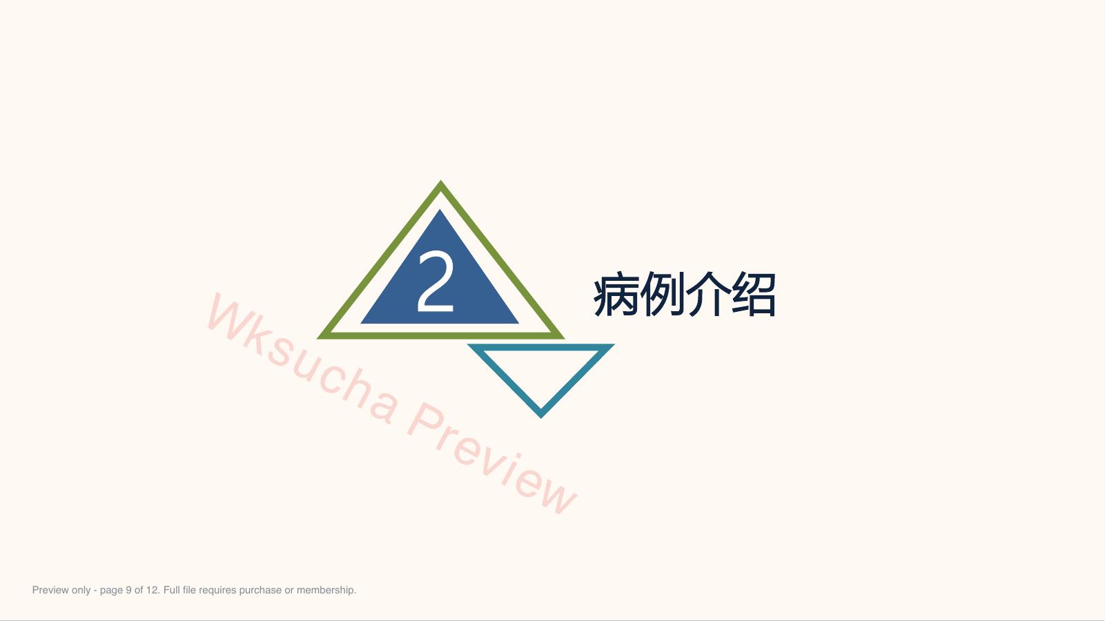 预览第 9 页