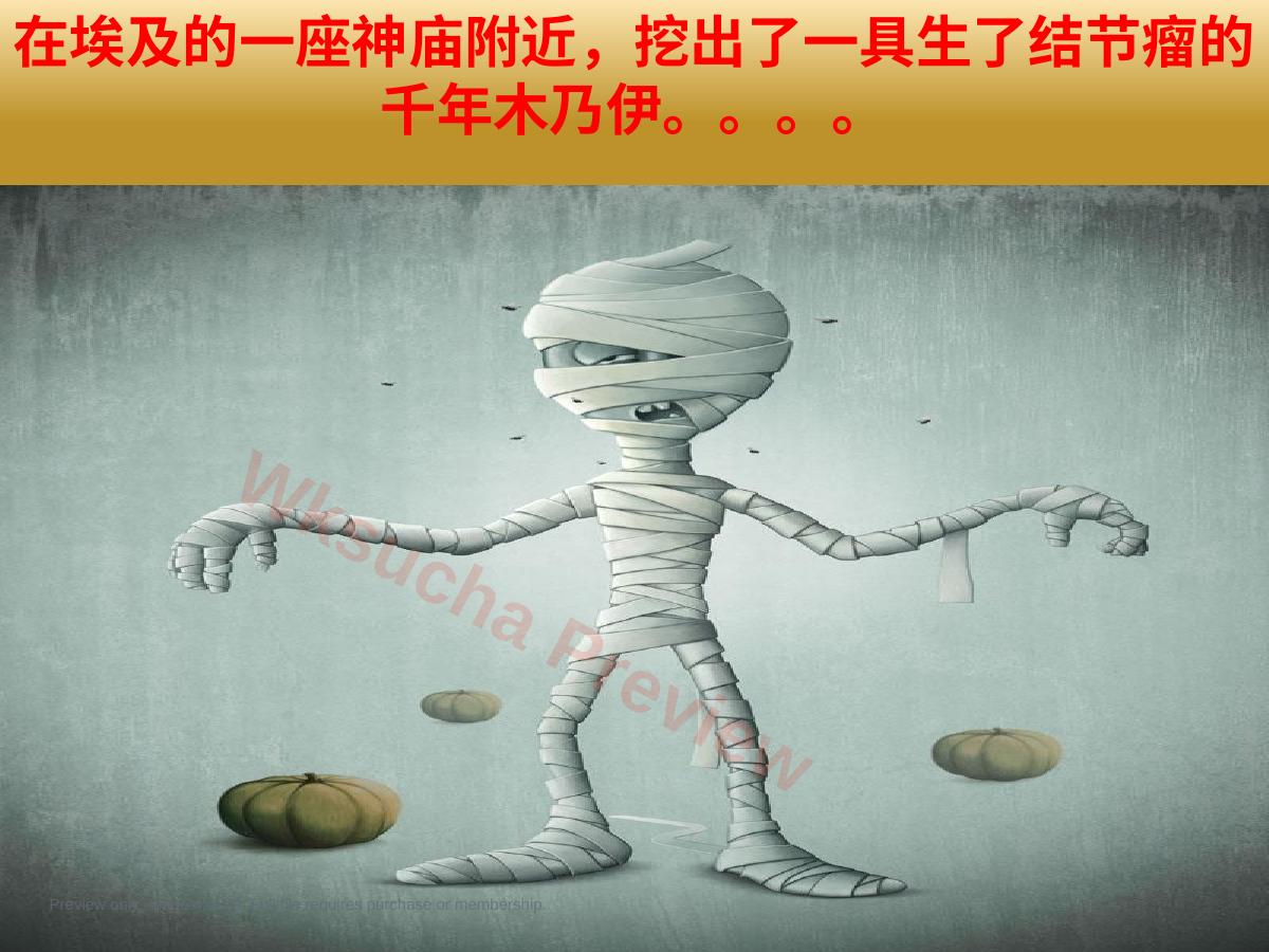 预览第 4 页