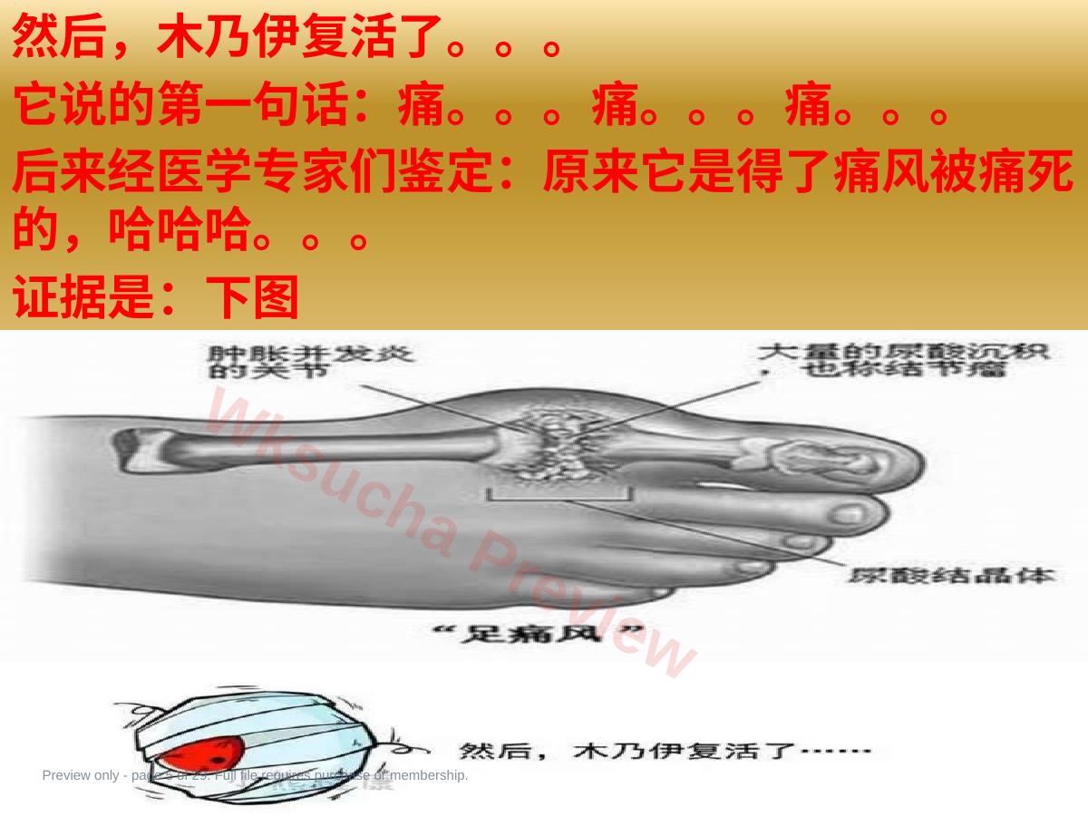 预览第 5 页