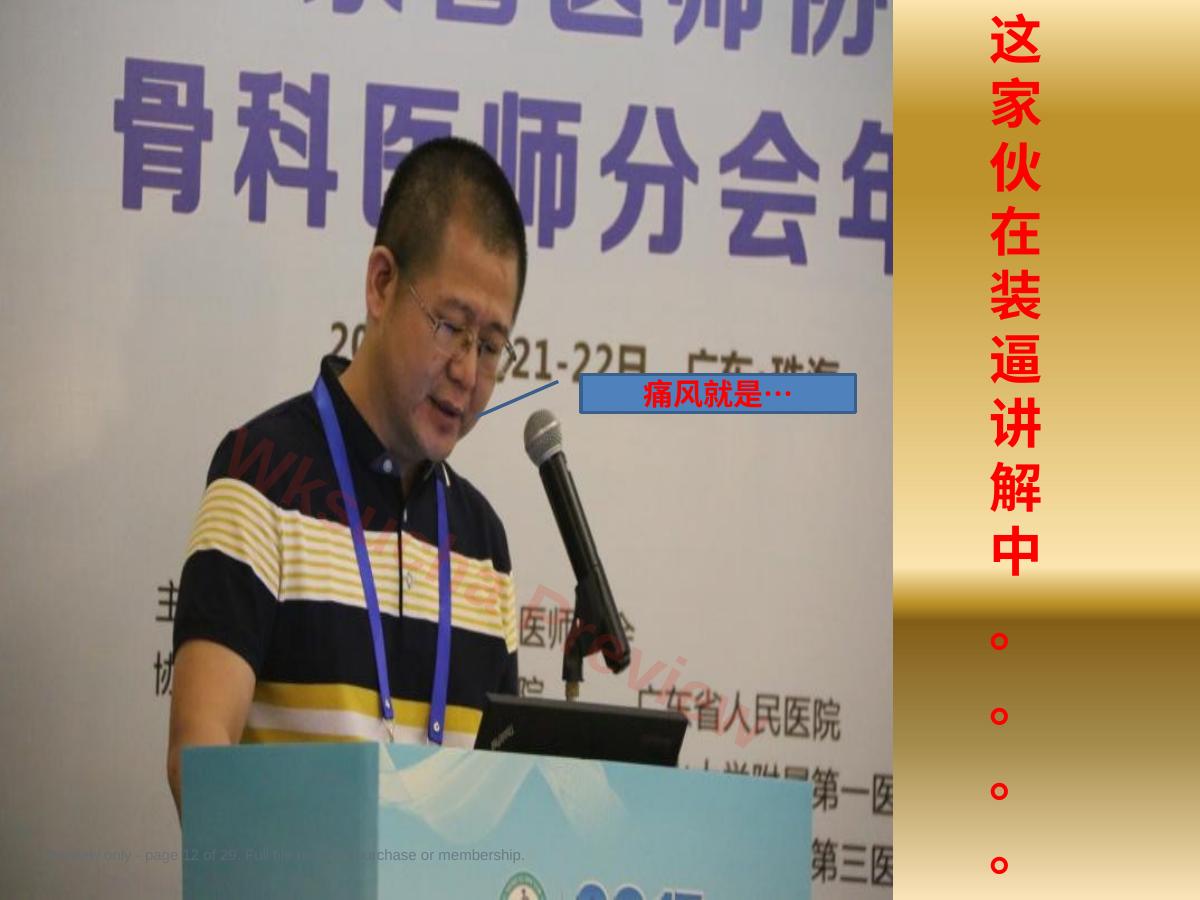 预览第 12 页
