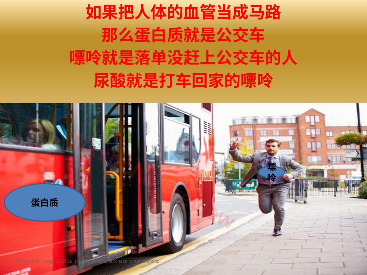 预览第 13 页