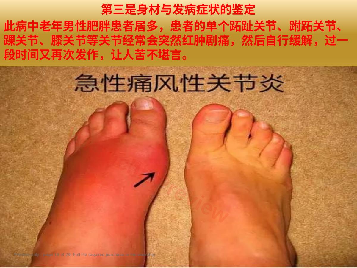 预览第 19 页