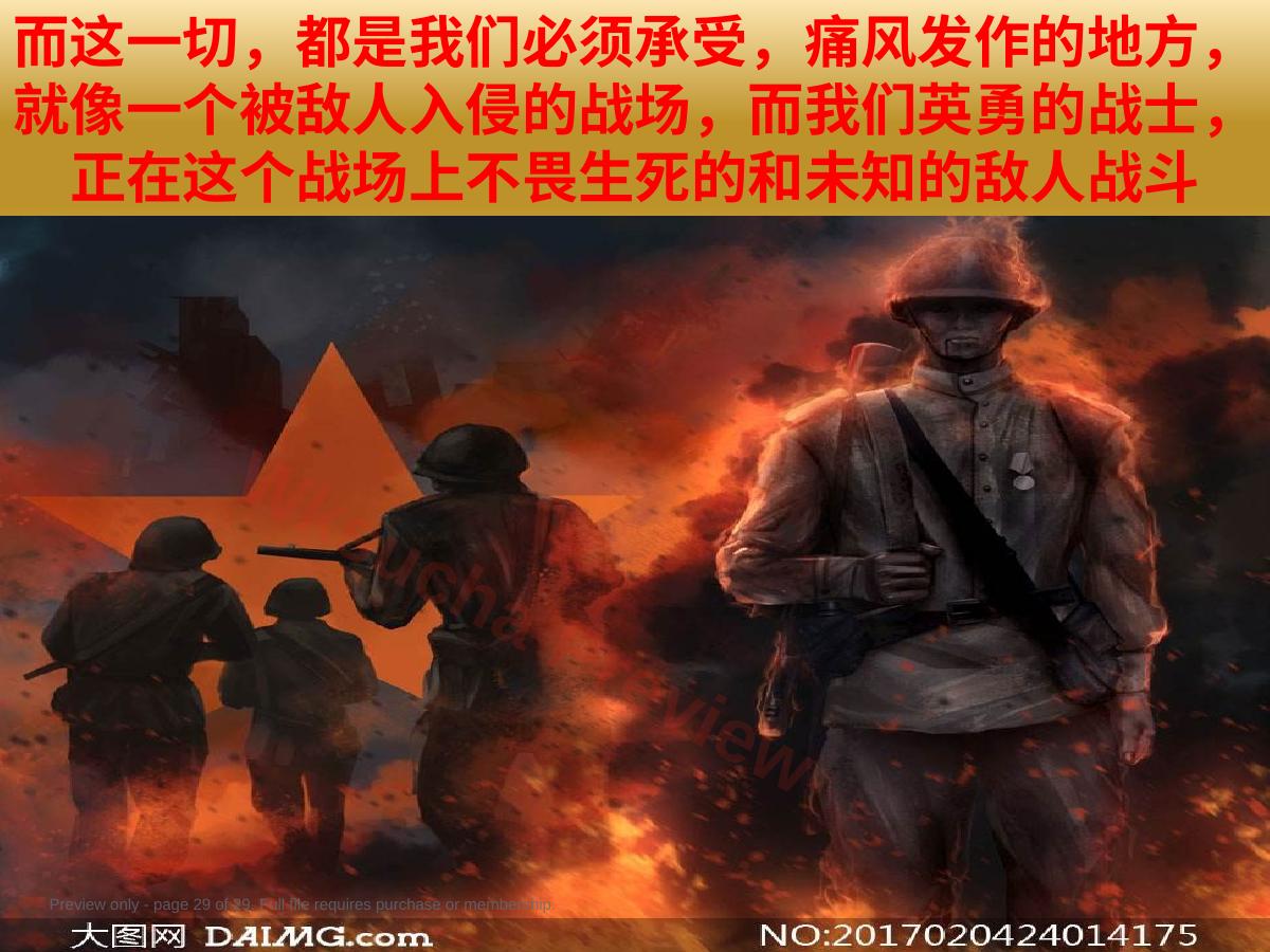 预览第 29 页