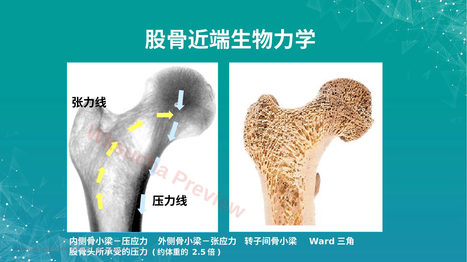 预览第 10 页