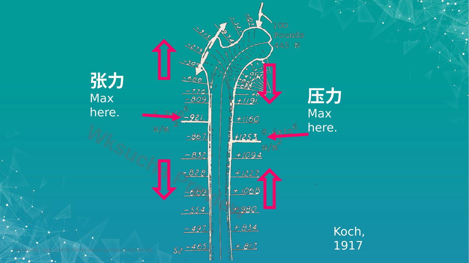 预览第 11 页