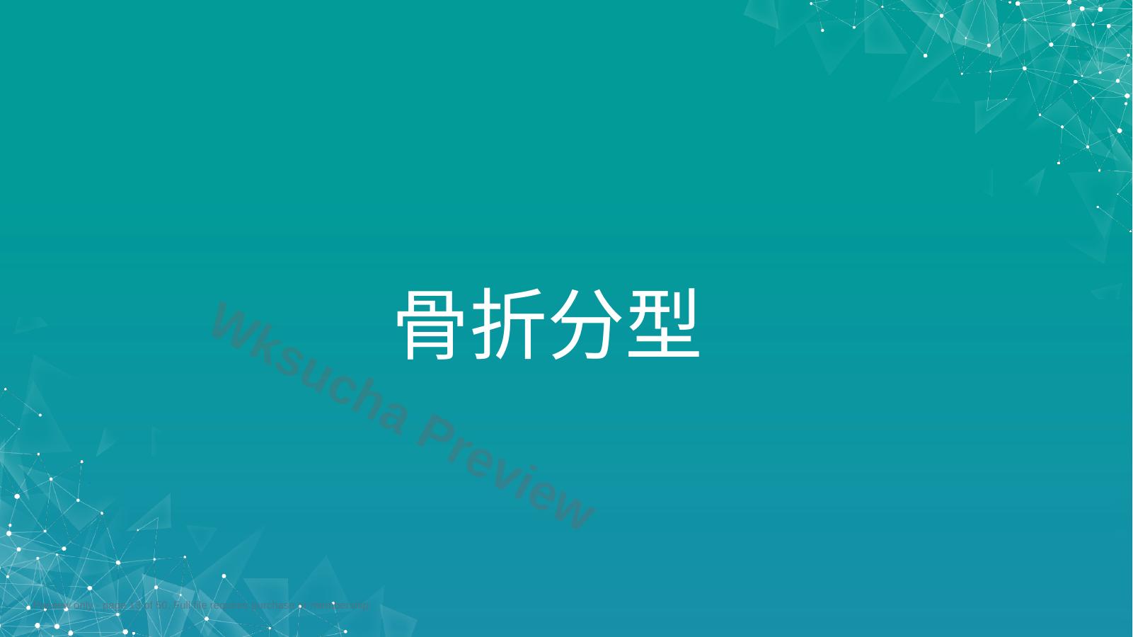 预览第 13 页