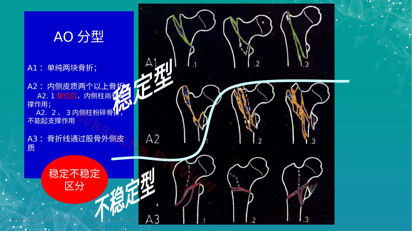 预览第 16 页