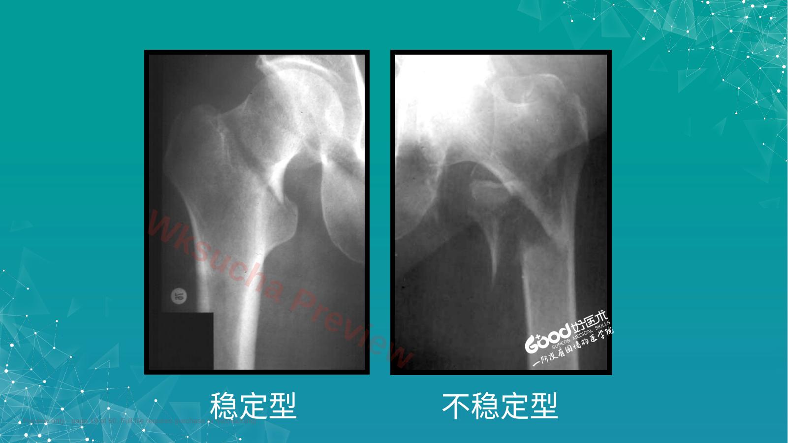 预览第 19 页
