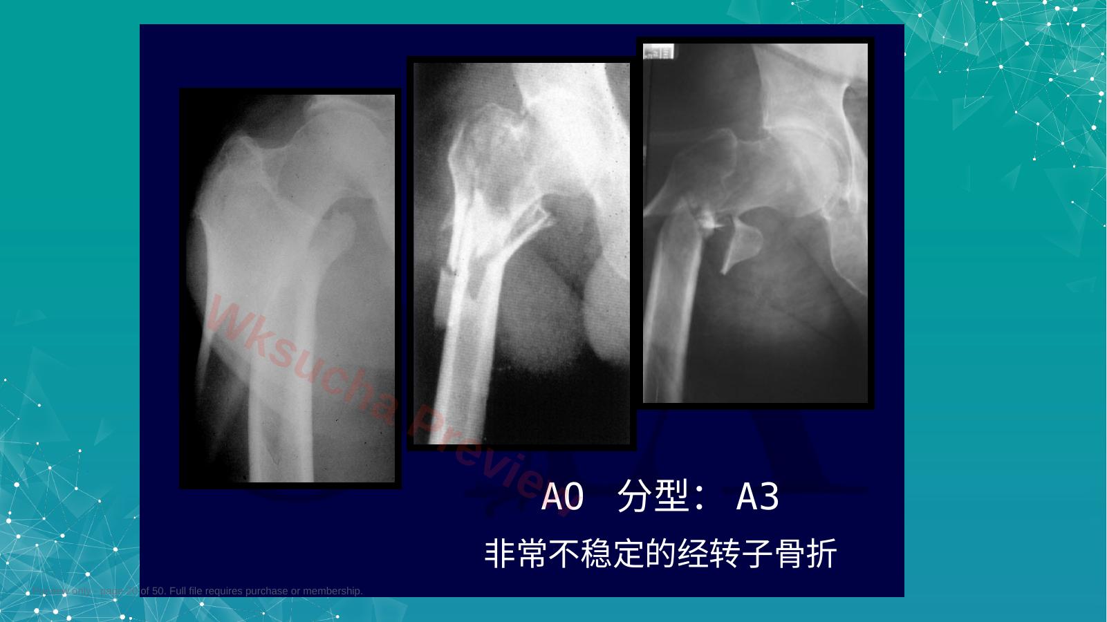 预览第 20 页