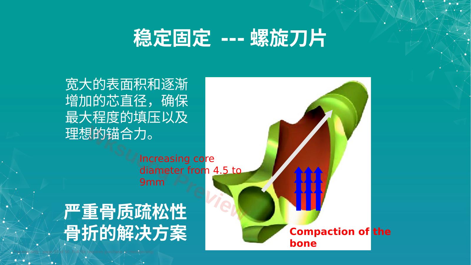 预览第 37 页
