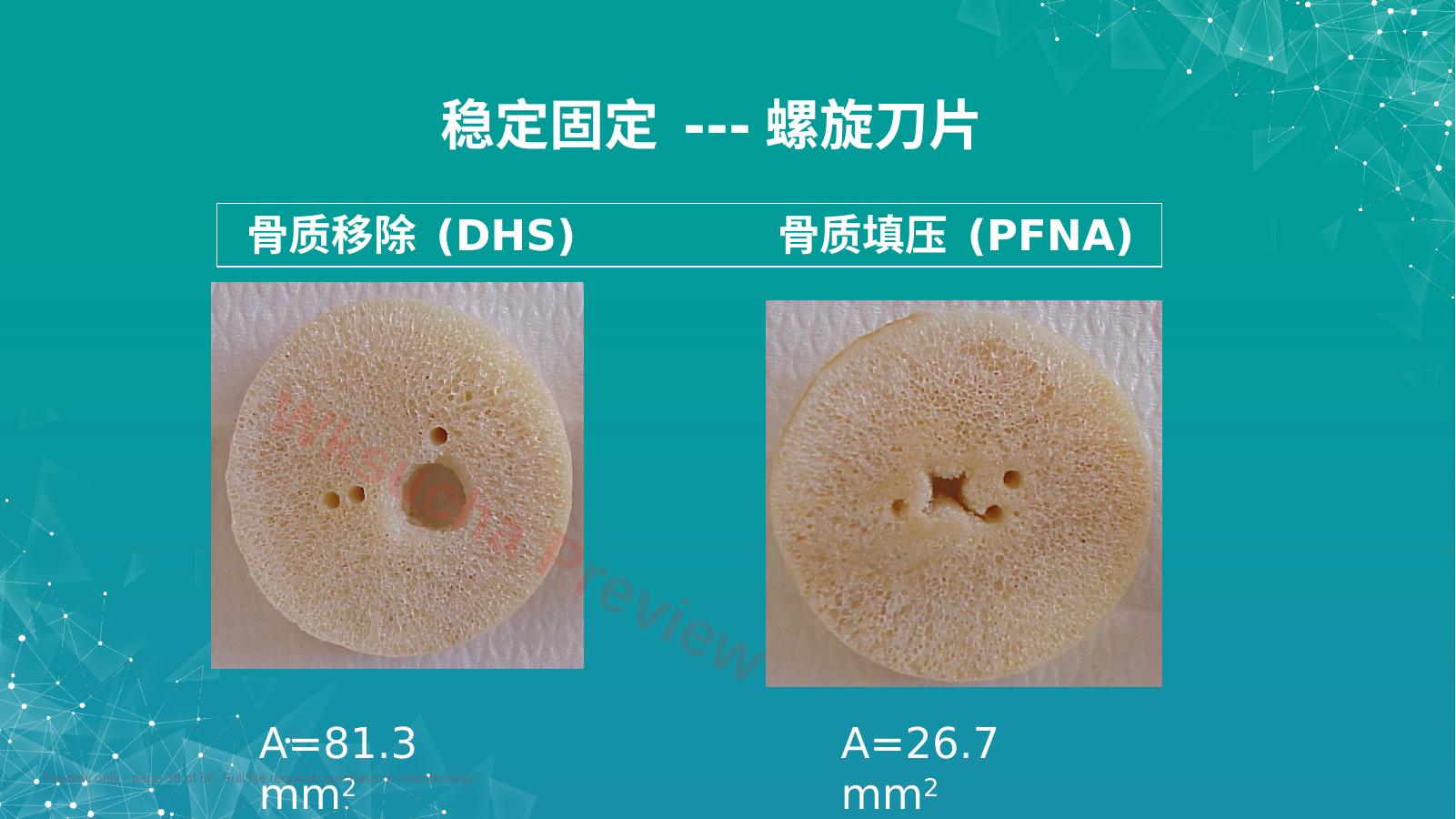预览第 38 页