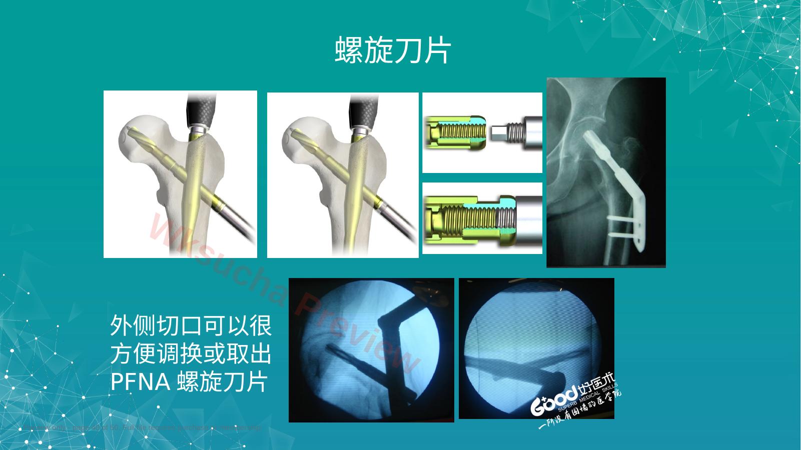 预览第 40 页
