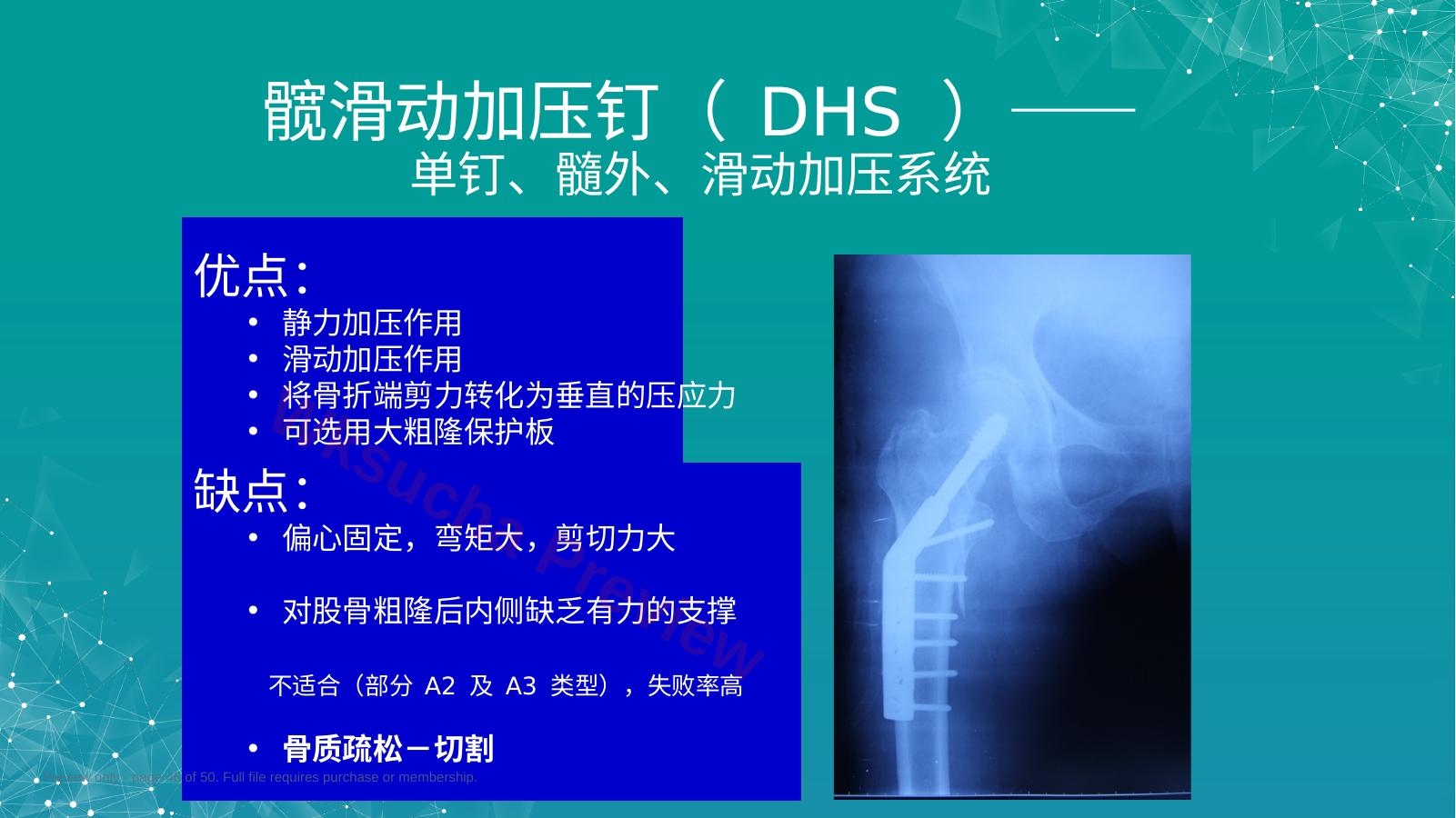 预览第 46 页
