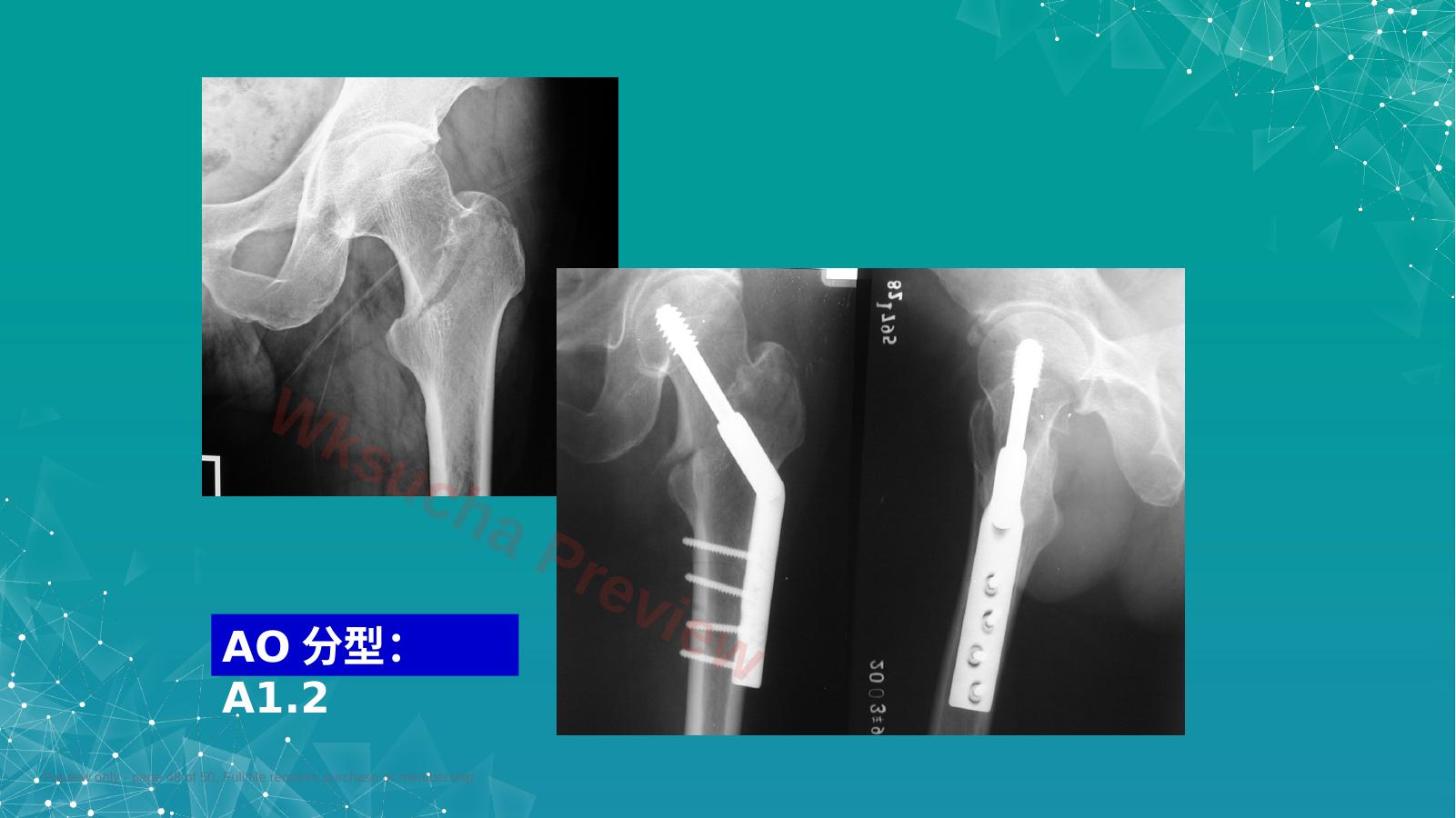 预览第 48 页