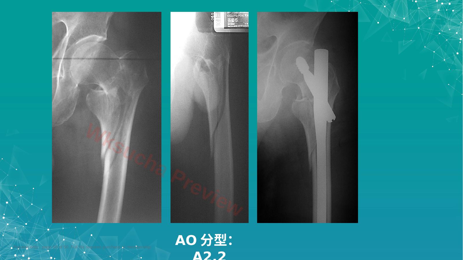 预览第 50 页