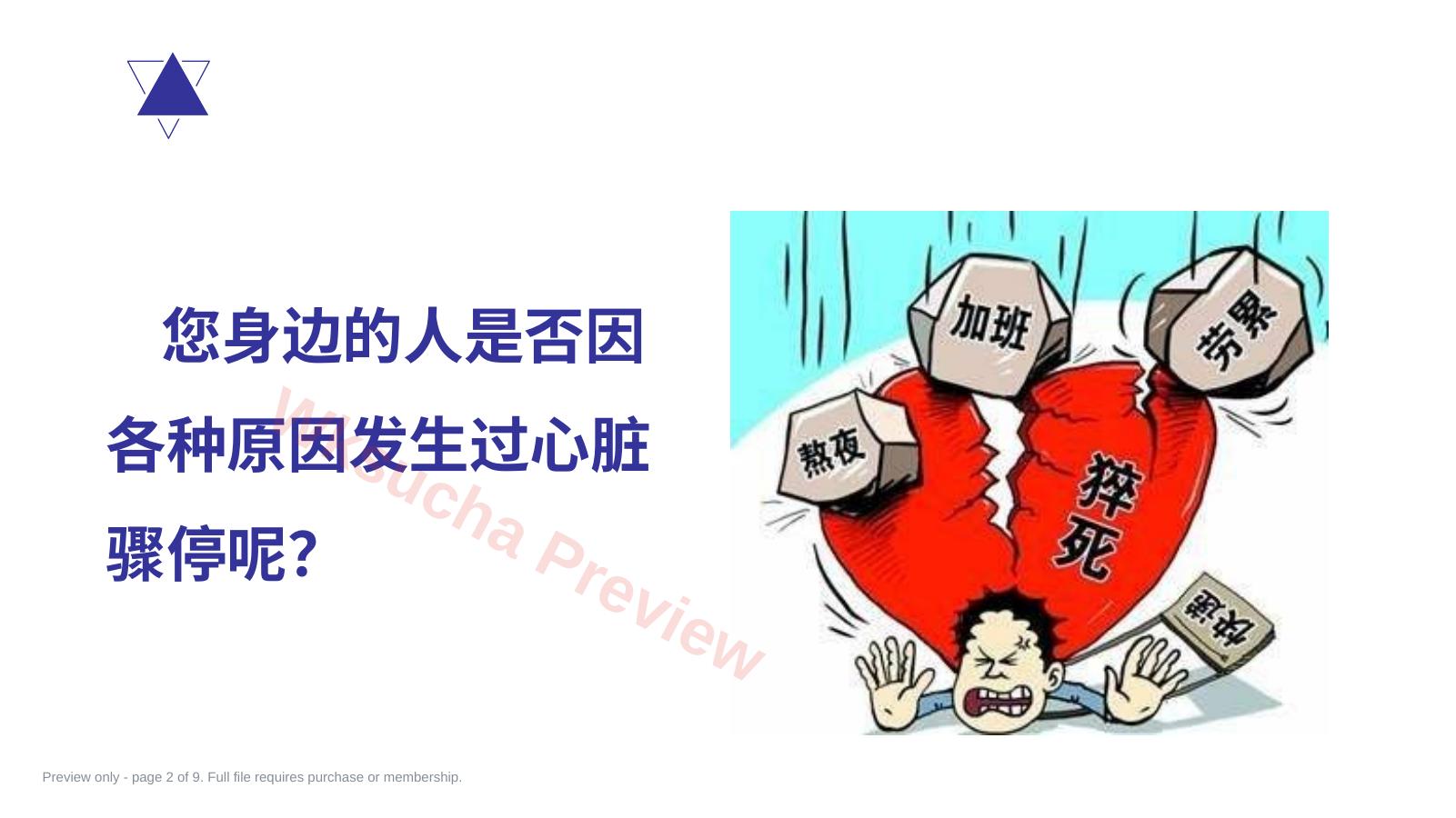 预览第 2 页