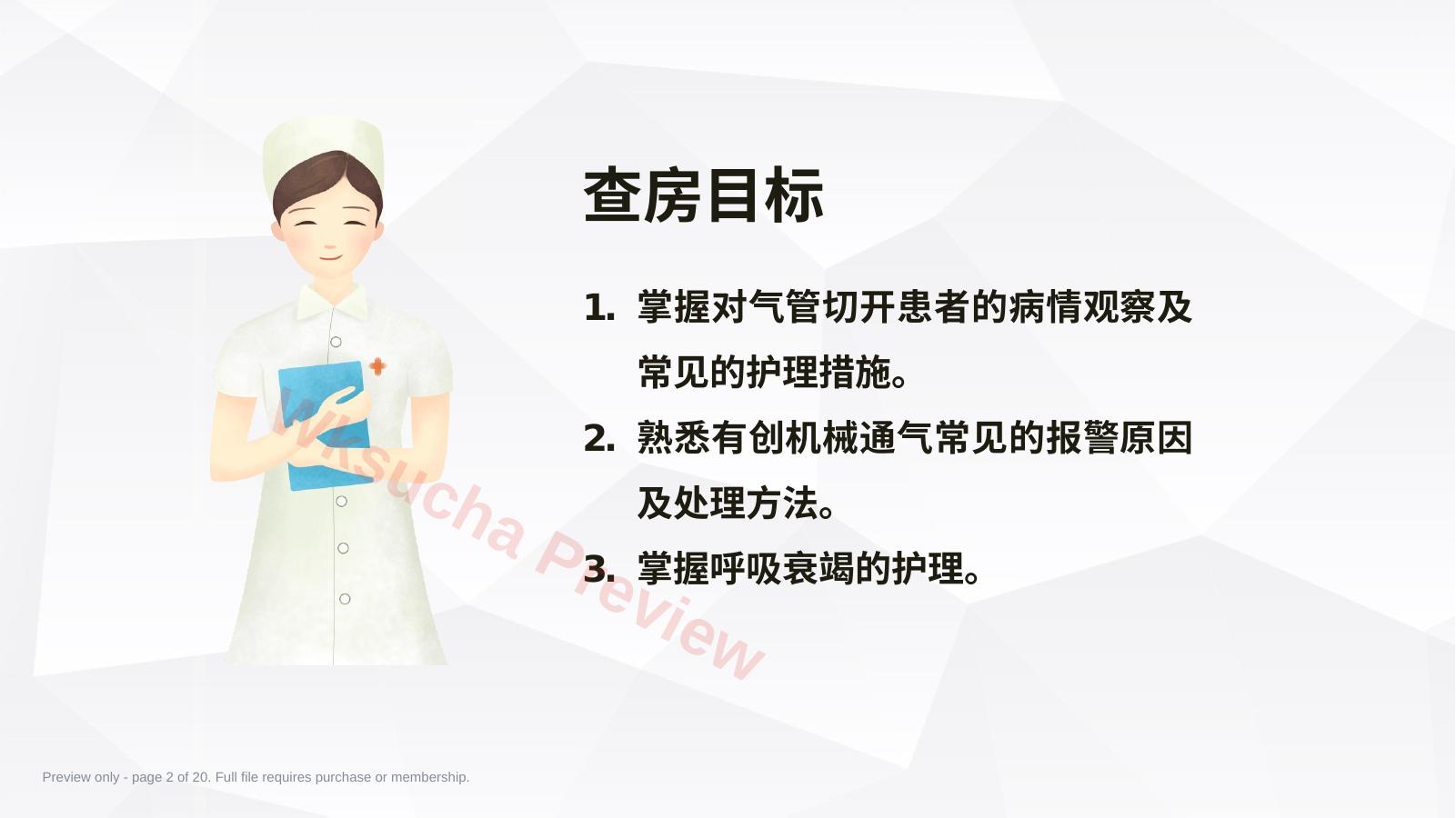 预览第 2 页