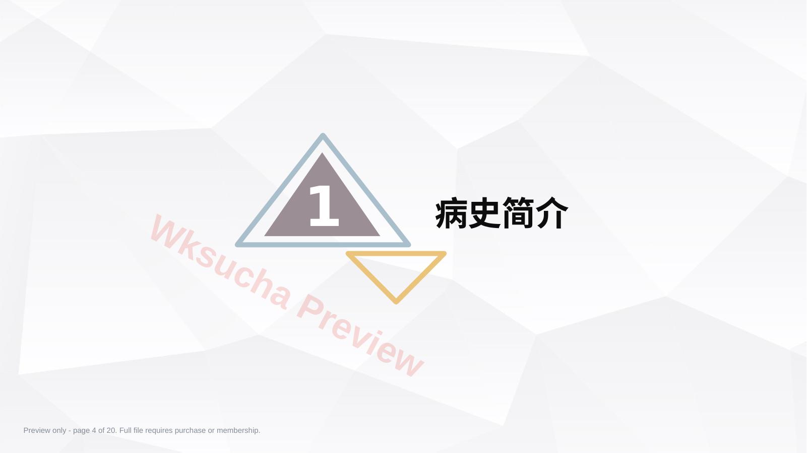预览第 4 页