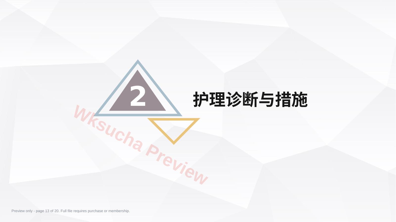 预览第 13 页