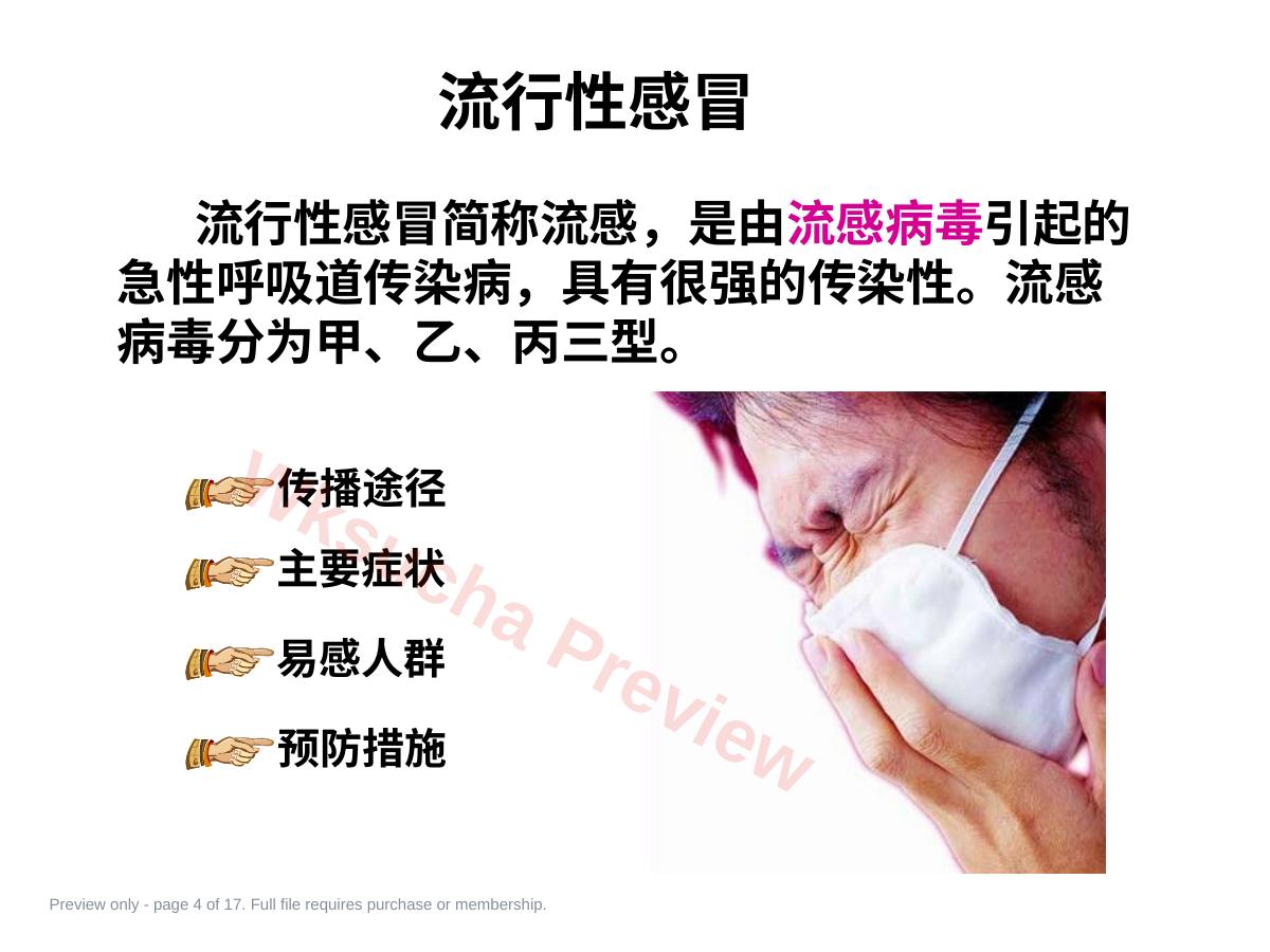 预览第 4 页