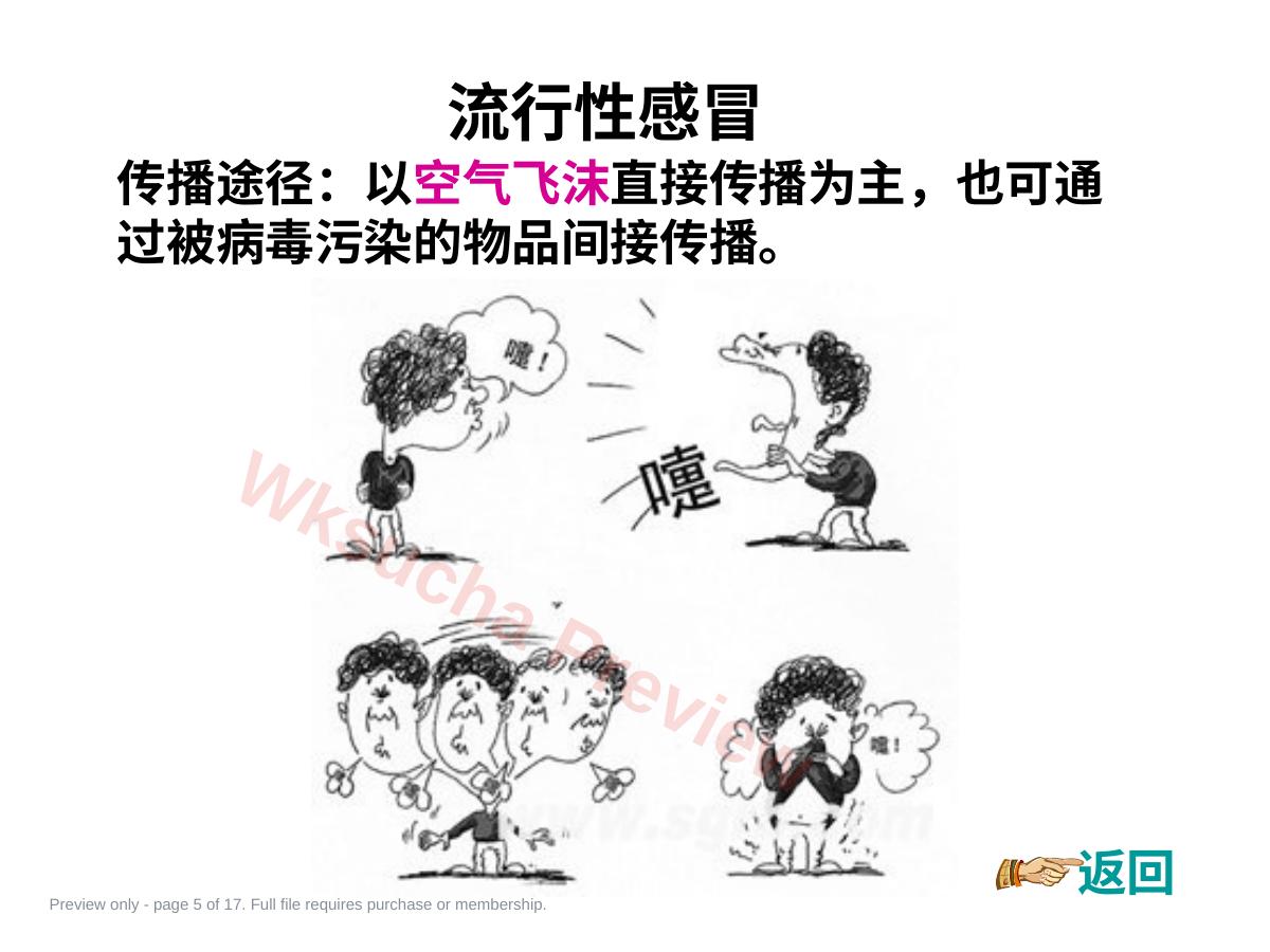 预览第 5 页