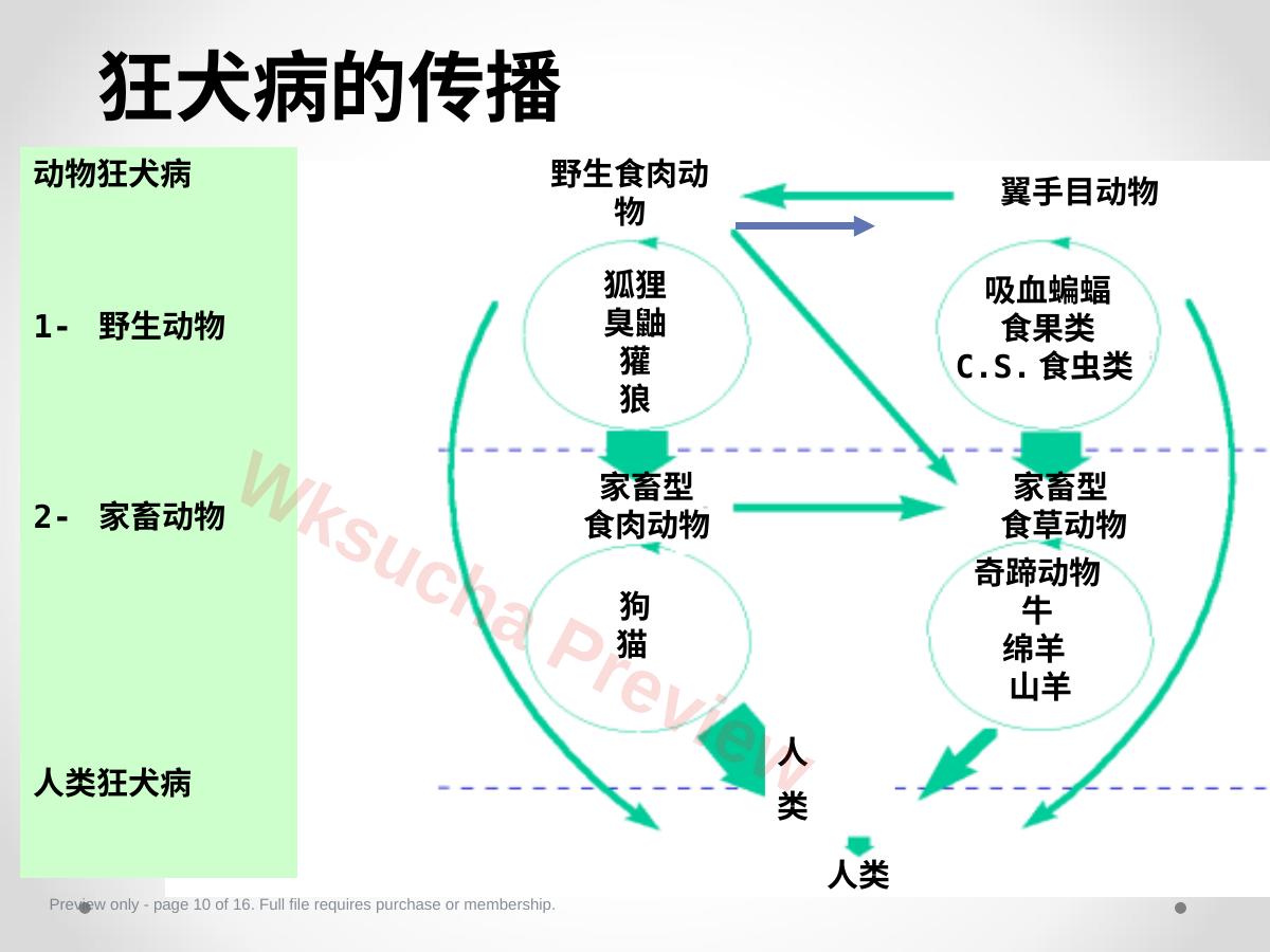 预览第 10 页