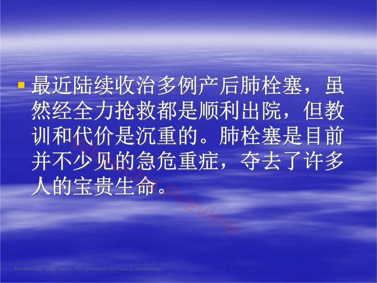 预览第 5 页