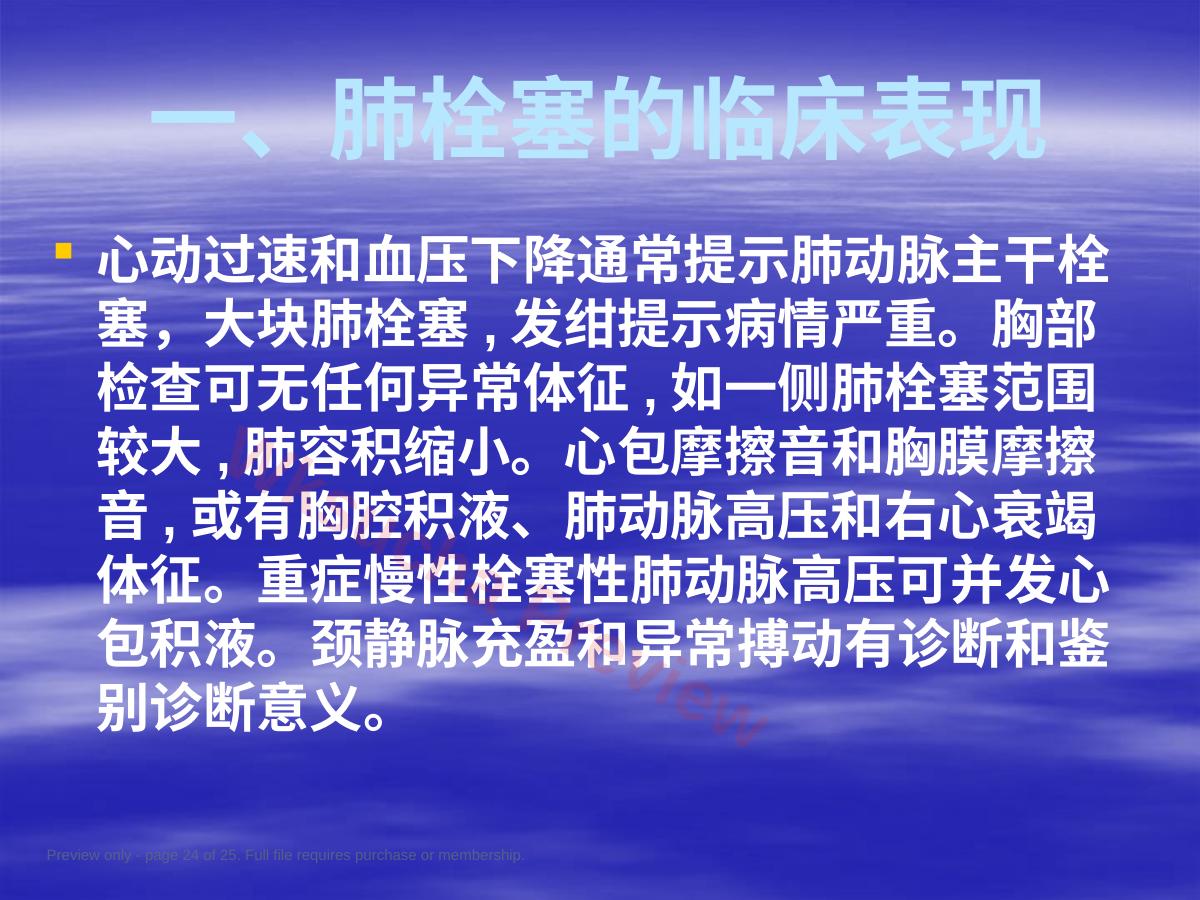 预览第 24 页