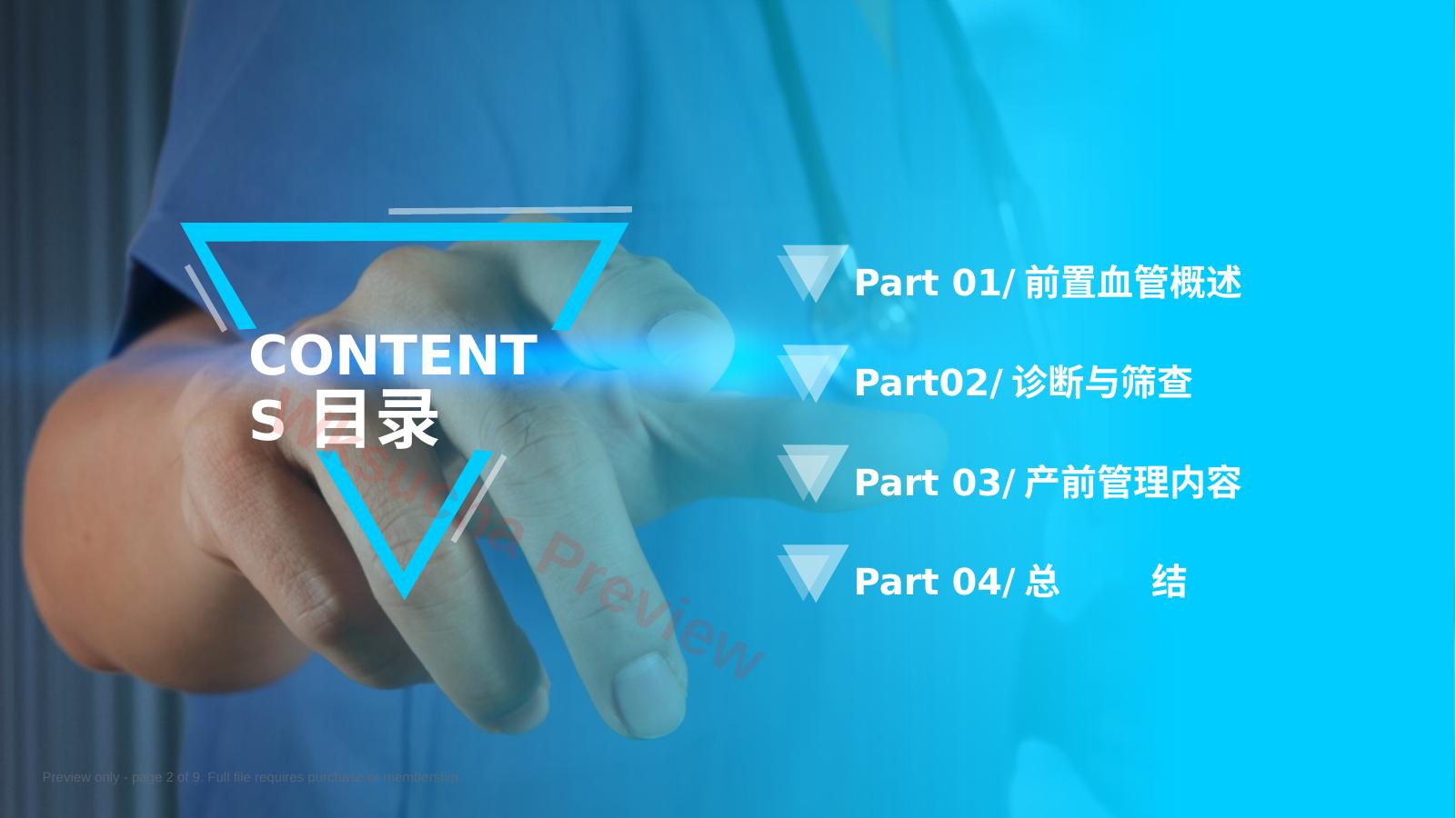 预览第 2 页