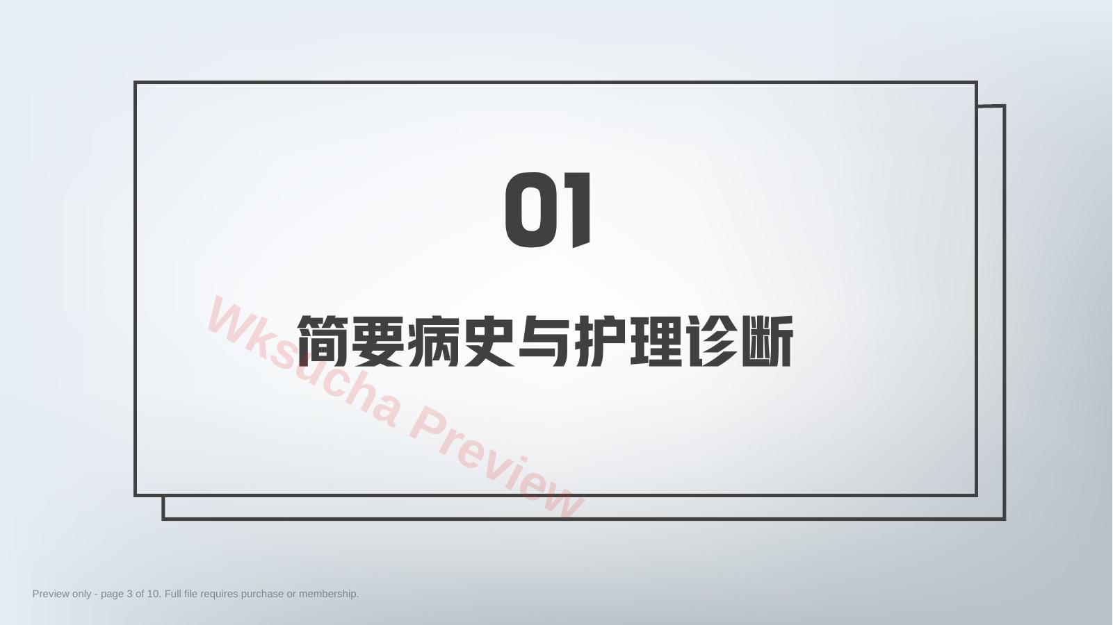 预览第 3 页