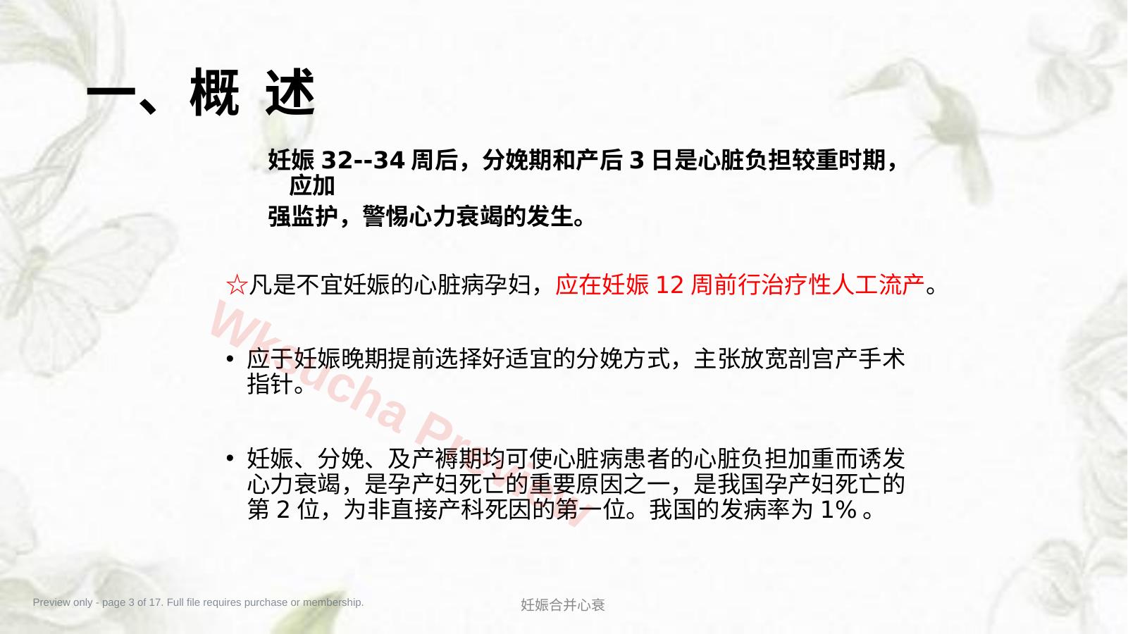 预览第 3 页
