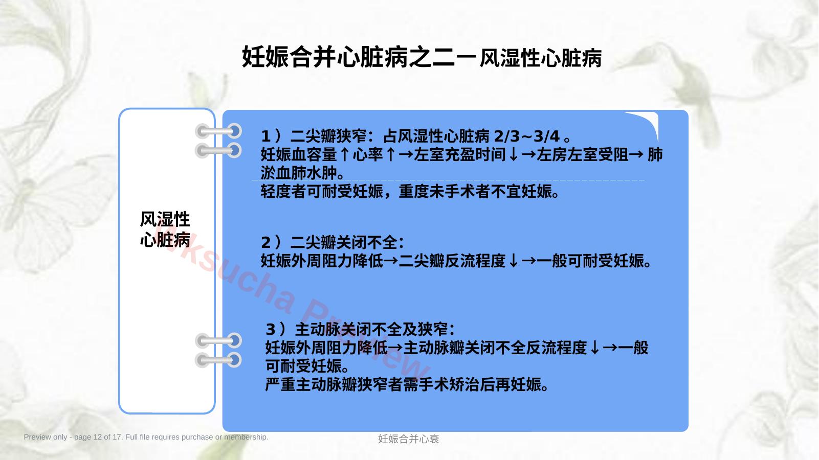 预览第 12 页