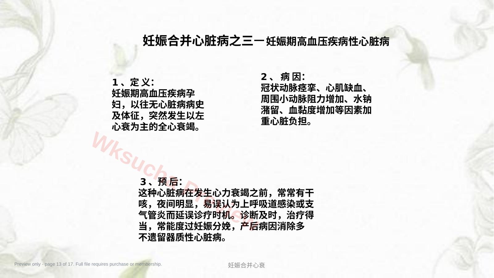 预览第 13 页