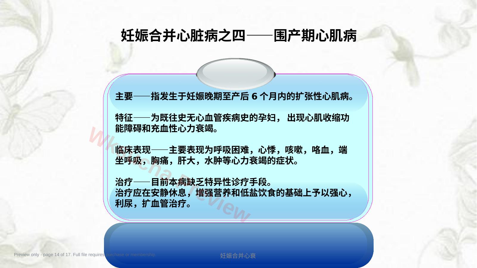 预览第 14 页
