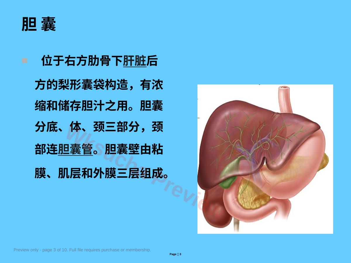 预览第 3 页